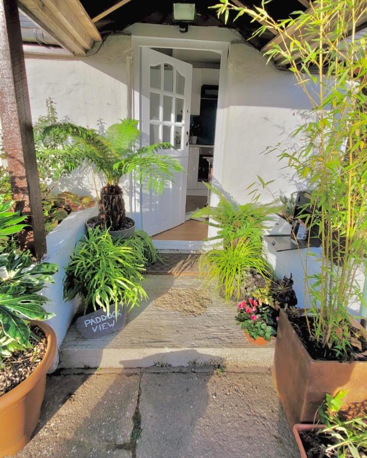 Idyllic Cornish Cottage, Superking Bed, Private Garden Dogs Welcome Truro Exteriér fotografie