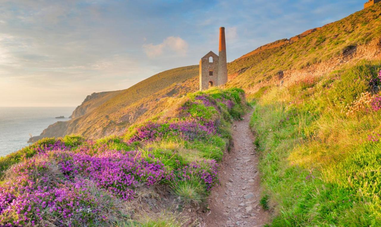 Idyllic Cornish Cottage, Superking Bed, Private Garden Dogs Welcome Truro Exteriér fotografie