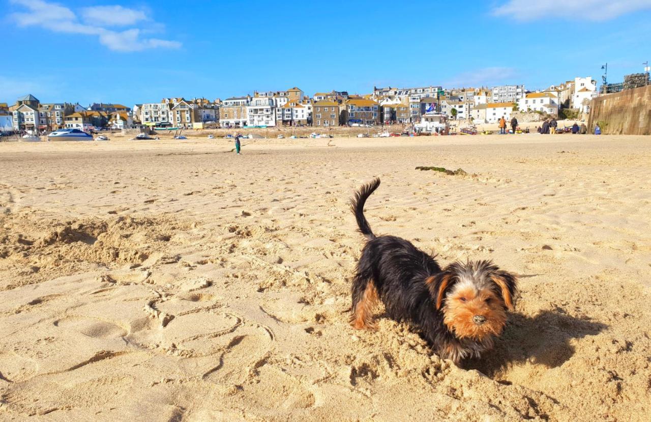 Idyllic Cornish Cottage, Superking Bed, Private Garden Dogs Welcome Truro Exteriér fotografie