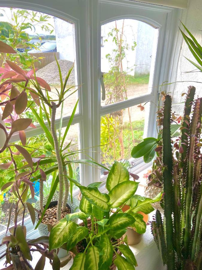 Idyllic Cornish Cottage, Superking Bed, Private Garden Dogs Welcome Truro Exteriér fotografie